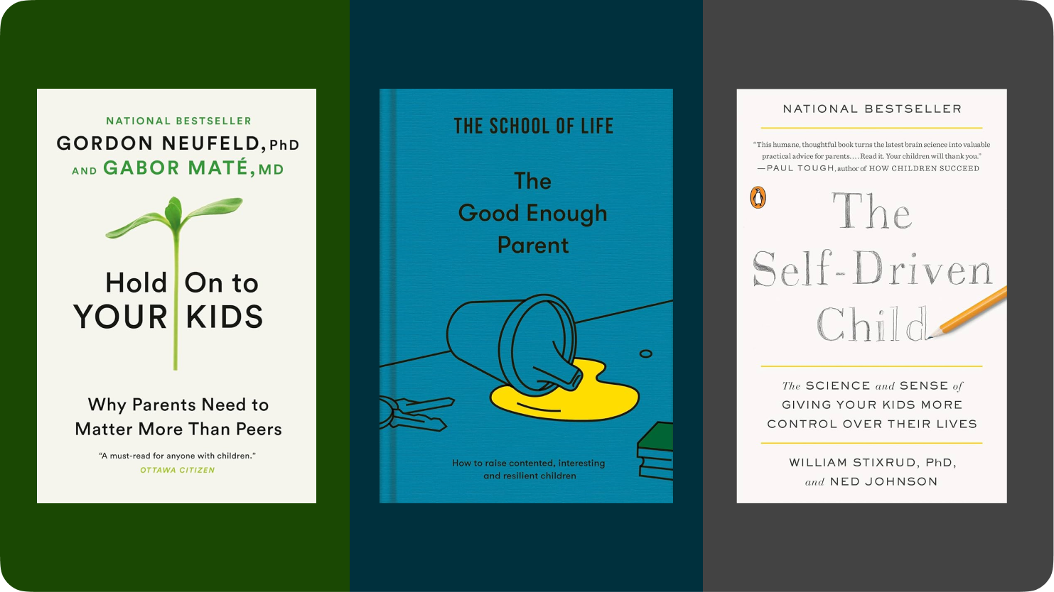 Cover of the parenting book “Parenting Books”